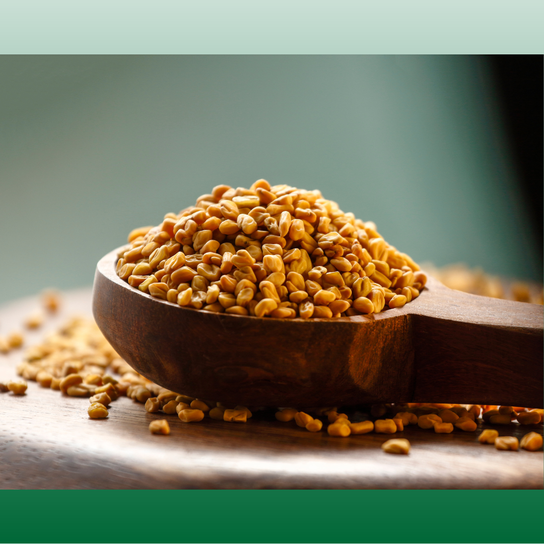 Fenugreek – Tiny Seeds, Timeless Hair Care